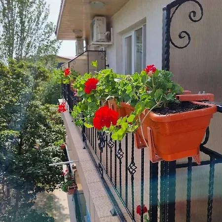 Magda Guest house *
